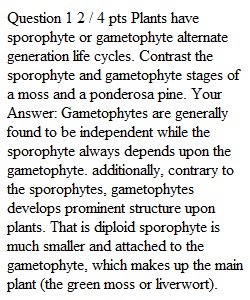 Quiz 4 Chapters 14 & 15